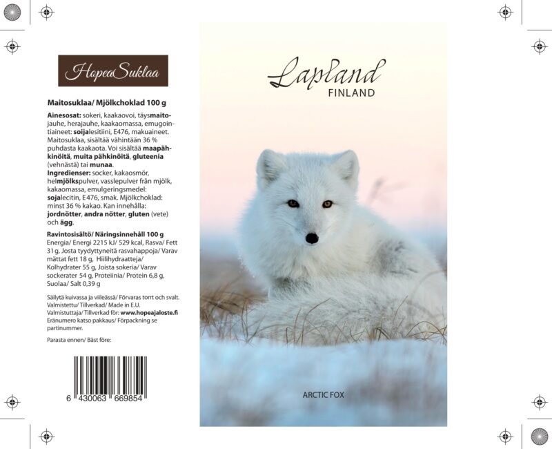 Lapland Arctic fox, lappi37