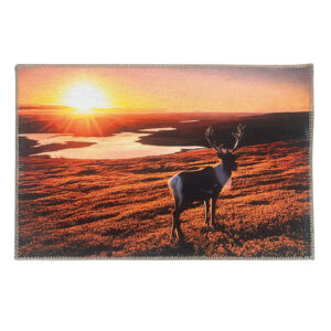 Reindeer & midnight sun mat