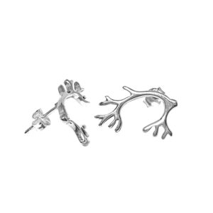 Sarvi-korvakorut, nappi